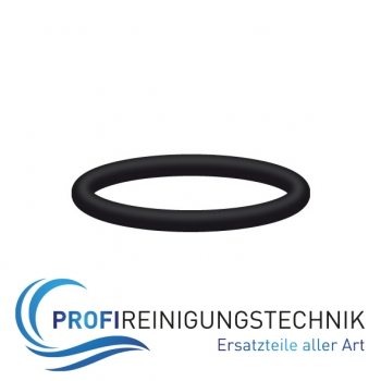 O - Ring 13 x 2